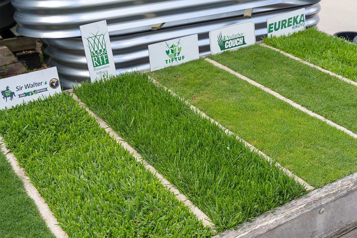 How to Choose the Right Natural Turf for Your Garden A Complete Guide