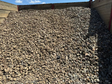 Buffalo Flats Pebbles - Versatile Decorative Landscape Pebbles for Pathways and Garden Beds