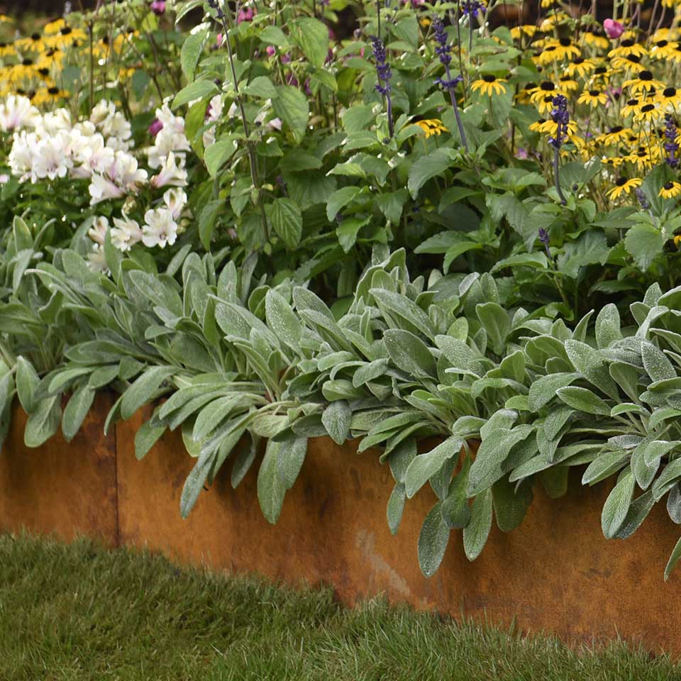 SHAPESCAPER Redcor Steel Metal Garden Edging 2.5mm Australian Made