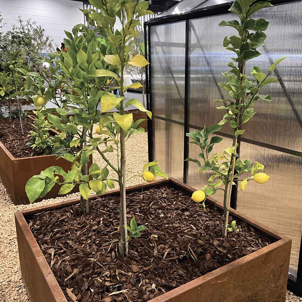SHAPESCAPER® REDCOR® 500 mm / 700 mm High Modular Box Planters Australian Made