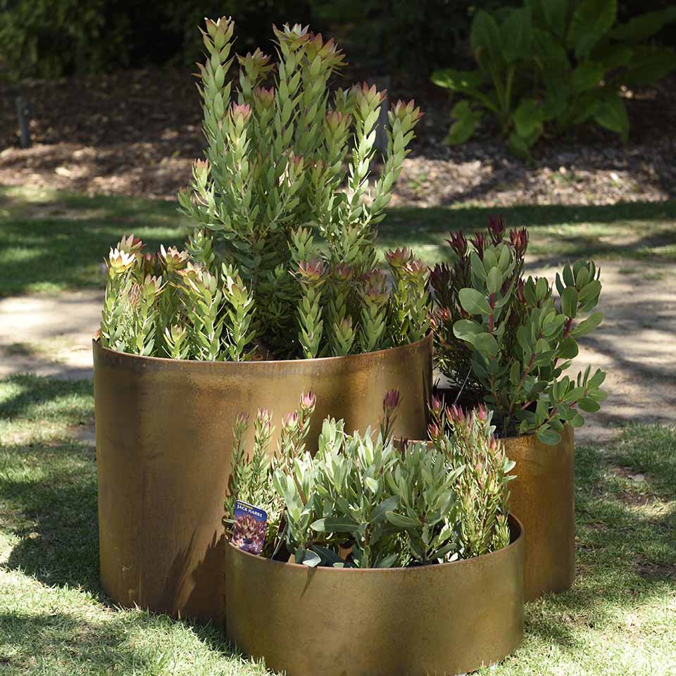 SHAPESCAPER® REDCOR Triple Ring Tiered Metal Garden Edging Planter