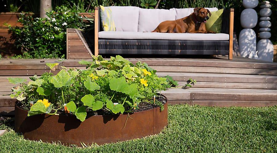 FormBoss® Round Steel Garden Edging – Durable and Versatile for Garden Designs