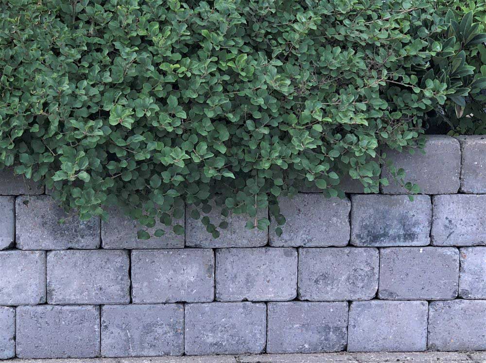 Durable and Versatile Grey Blocks: A Reliable Choice for Tradies and H ...