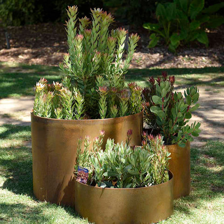 metal garden edging ｜steel garden edging｜corten steel edging ｜shapescaper ｜formboss｜metal garden edging