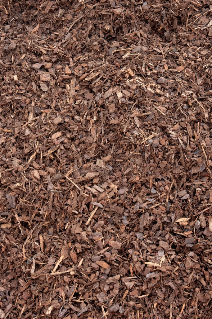 10mm Pine Bark