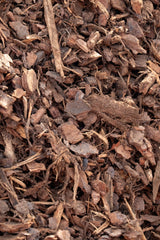 10mm Pine Bark