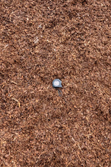 10mm Pine Bark