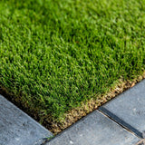 Sir Grange Zoysia - Low-Maintenance, Drought-Tolerant Luxury Turf