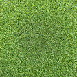 15MM Premium Artificial Grass Putting Green "Autumn"/m²