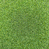 15MM Premium Artificial Grass Putting Green "Autumn"/m²