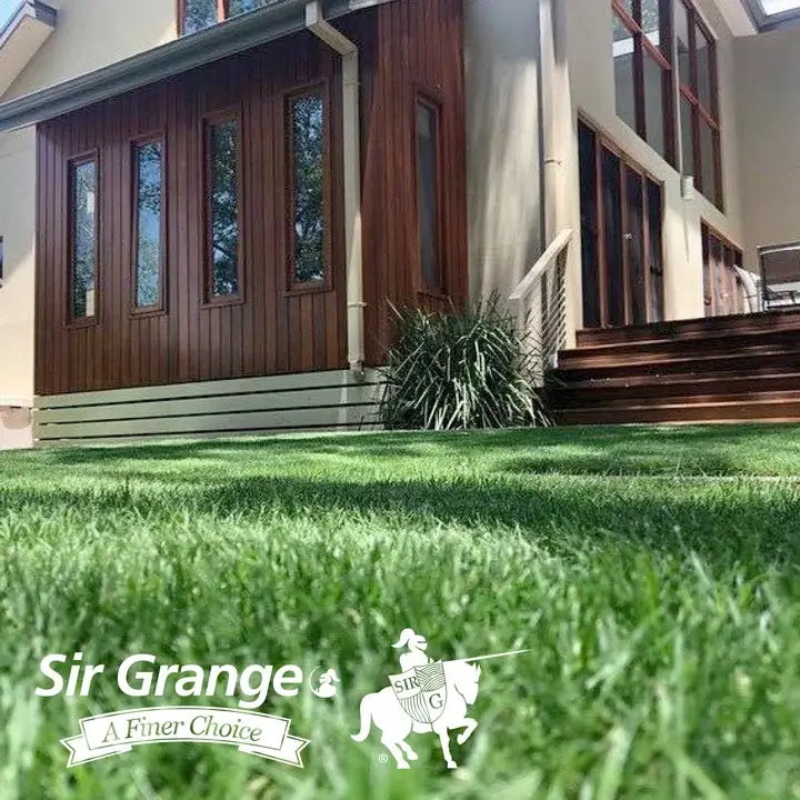 Sir Grange Zoysia - Low-Maintenance, Drought-Tolerant Luxury Turf