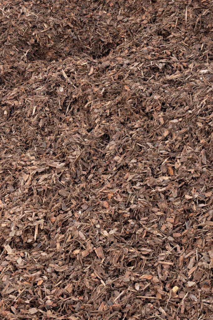 20mm Pine Bark
