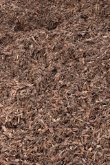20mm Pine Bark