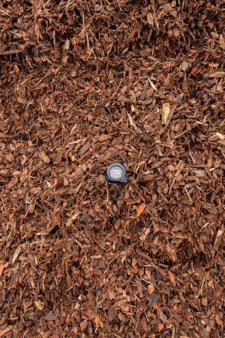 20mm Pine Bark