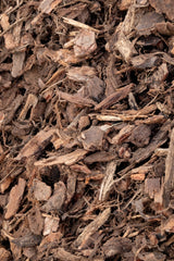 20mm Pine Bark