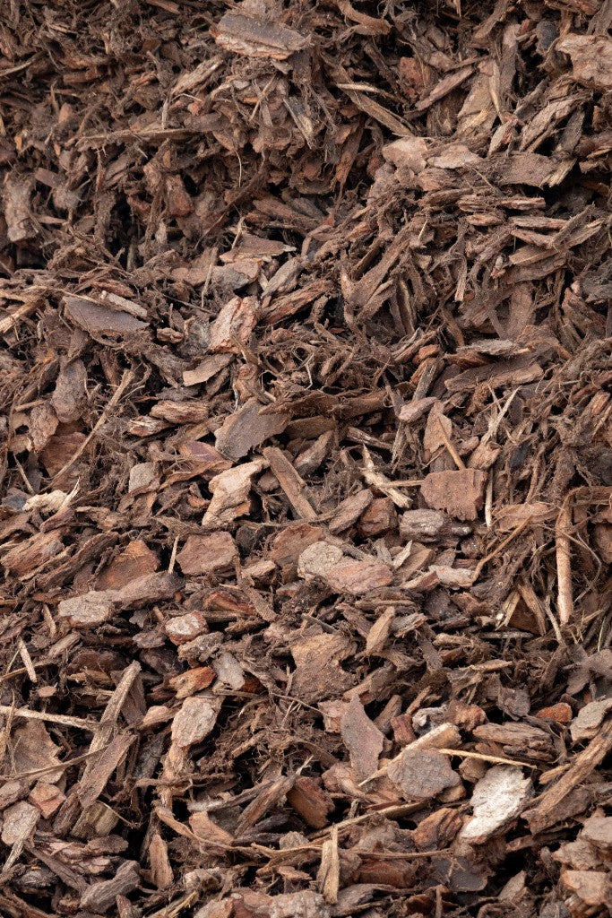 20mm Pine Bark