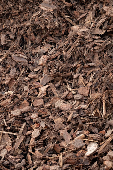 20mm Pine Bark
