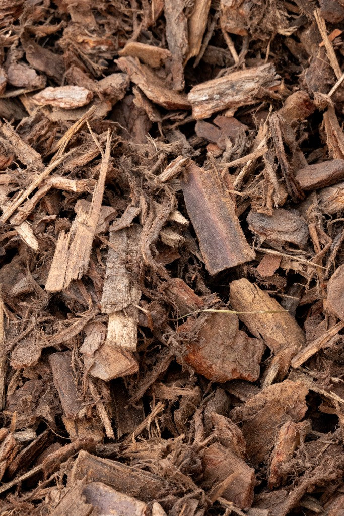 20mm Pine Bark