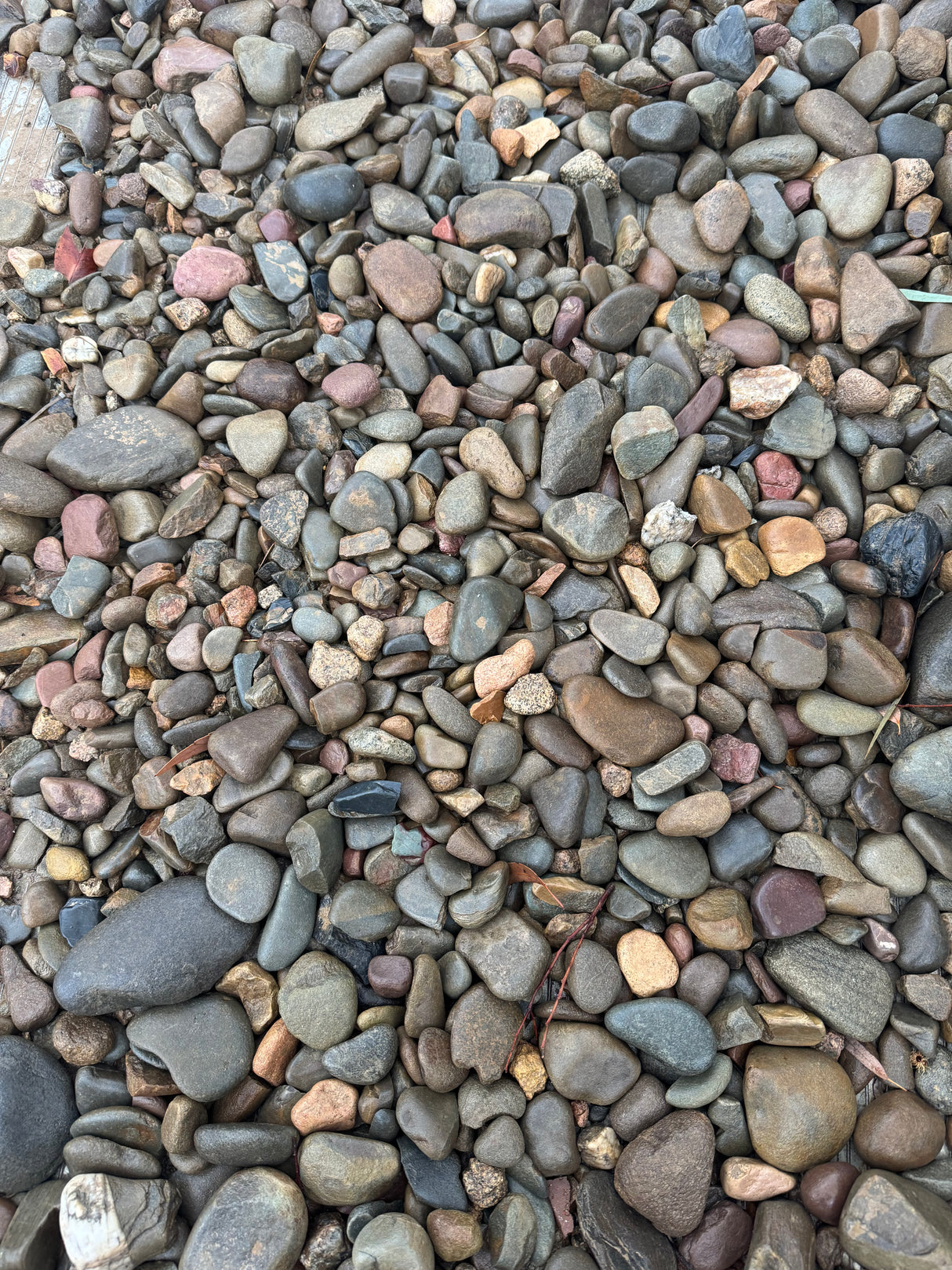 Buffalo Flats Pebbles