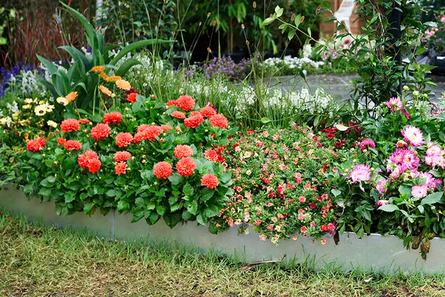 SHAPESCAPER Galvabond Steel Metal Garden Edging 1.6mm