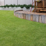 Nullarbor Santa Ana Couch Turf - Resilient, Sun-Loving Turf for High-Traffic Areas