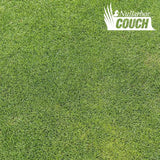 Nullarbor Santa Ana Couch Turf - Resilient, Sun-Loving Turf for High-Traffic Areas