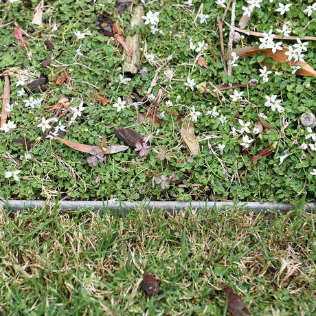 SHAPESCAPER Galvabond Steel Metal Garden Edging 2.5mm