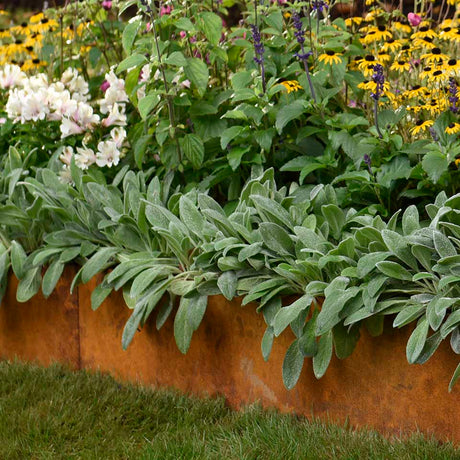 SHAPESCAPER Redcor Steel Metal Garden Edging 2.5mm Australian Made