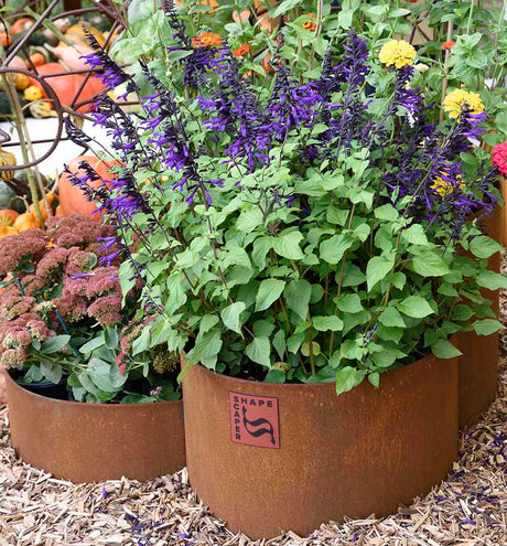 SHAPESCAPER® REDCOR® Round Steel Ring Garden Edging