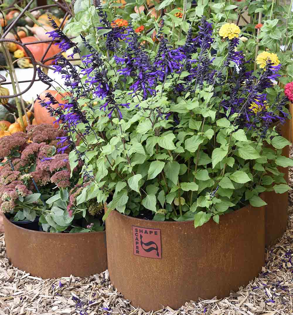 SHAPESCAPER® REDCOR Triple Ring Tiered Metal Garden Edging Planter Australian Made