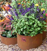 SHAPESCAPER® REDCOR Triple Ring Tiered Metal Garden Edging Planter Australian Made