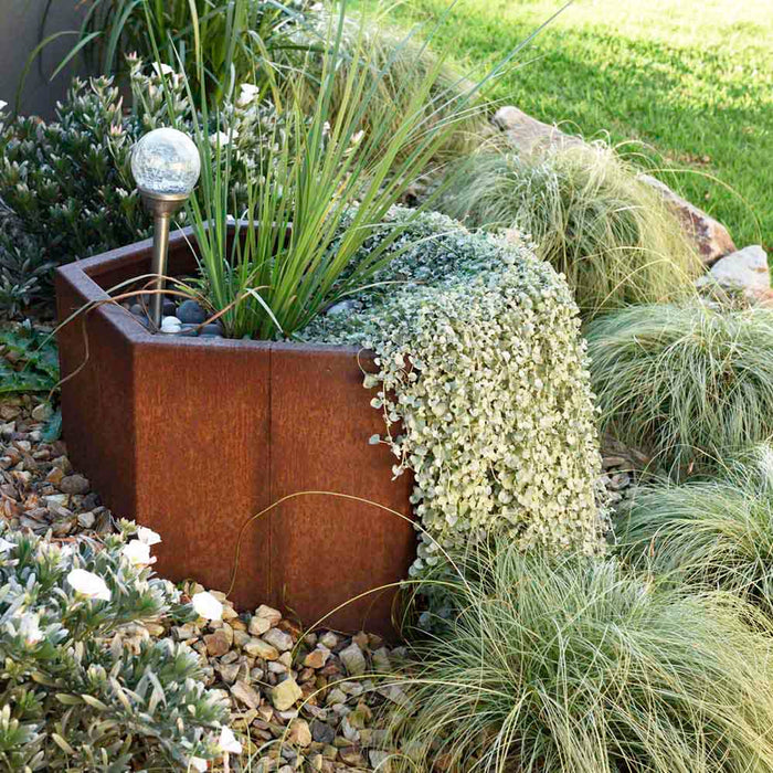 steel garden edging、corten steel edging、shapescaper、metal garden edging