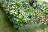 SHAPESCAPER Galvabond Steel Metal Garden Edging 2.5mm