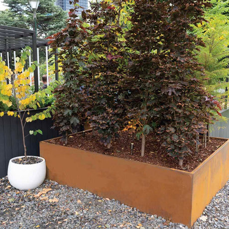 SHAPESCAPER® REDCOR® 500 mm / 700 mm High Modular Box Planters Australian Made