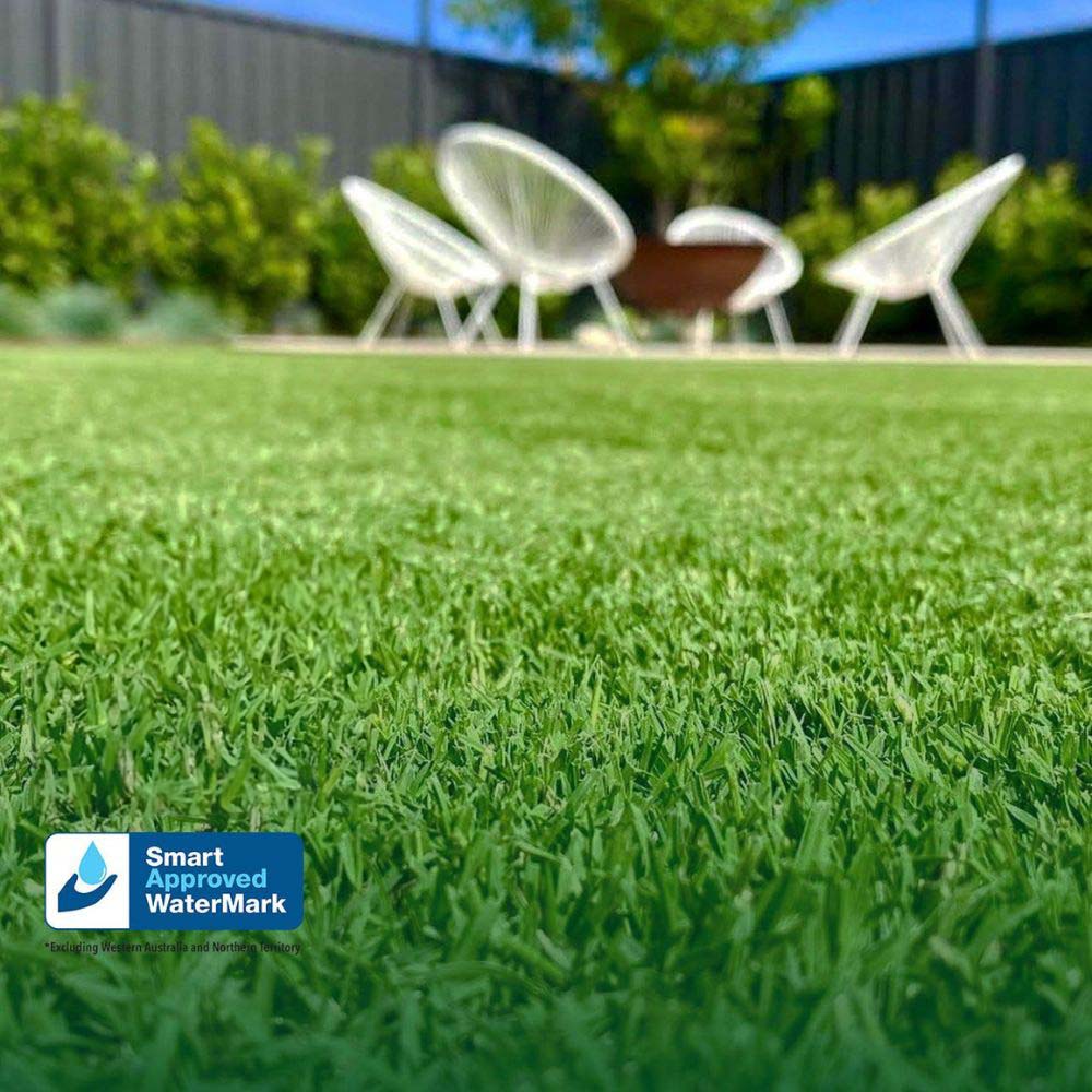 TIFTUF Bermuda Turf - Drought-Tolerant, Low-Maintenance Grass for Lawns & Sports Fields