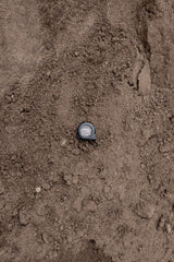 lawn soil