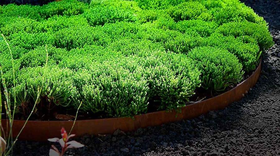 FormBoss® REDCOR® Australian-Made Steel Metal Garden Edging 1.6mm