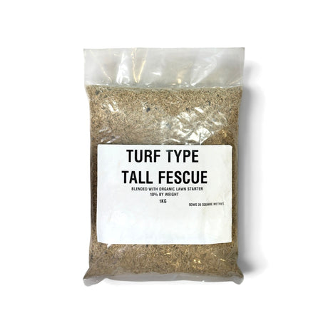 Lagertha turf type tall fescue lawn seed 1kg bag